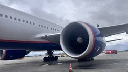 Дальневосточные прокуроры проверят соблюдение прав пассажиров задержанных рейсов