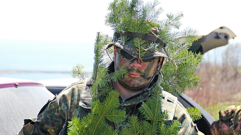 «Зарница» для взрослых