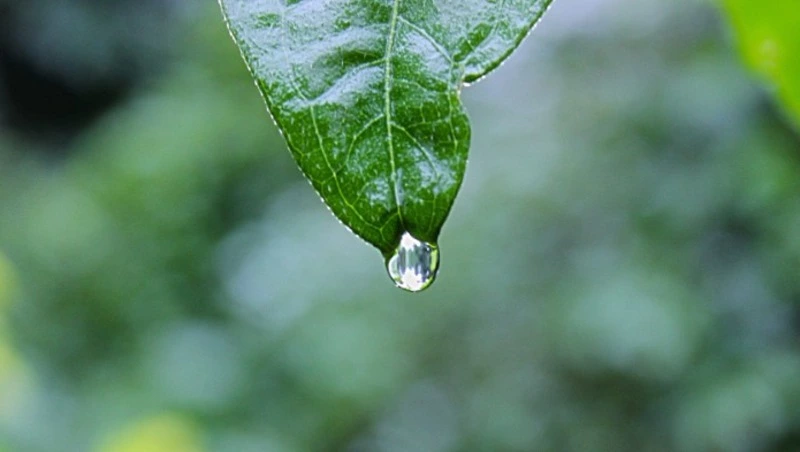 Дождь, снег и тучи: самый точный прогноз погоды в Сахалинской области на 11 мая