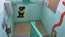 Герои советских мультфильмов украсили стены подъездов в Анивском районе