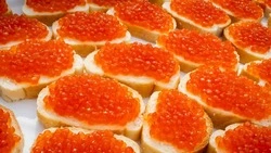 Краб-мутант, «Остров-рыба» и тюлень-альбинос: новости выходных на Сахалине