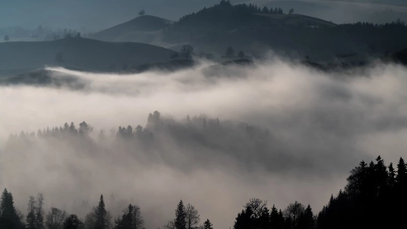 Дожди и туманы придут в некоторые районы Сахалинской области 28 июля