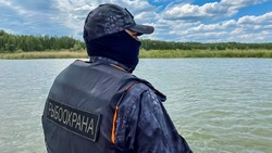 За неделю у браконьеров изъяли свыше 12 килограммов икры 