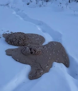 Оленевод из Якутии заснял на видео сочащуюся из-под земли странную субстанцию