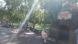 Авторов нецензурной живописи в парке Южно-Сахалинска нашли