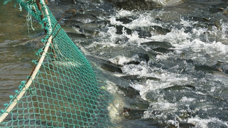 На Итурупе установят первый РУЗ