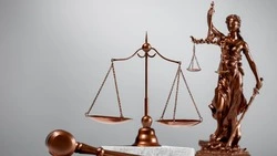 Жительница Углегорска ответит в суде за хулиганство на приеме граждан в селе Ольховка