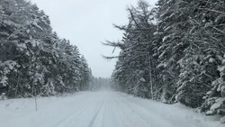 Народные приметы на 1 декабря 2023: что нельзя делать в этот день