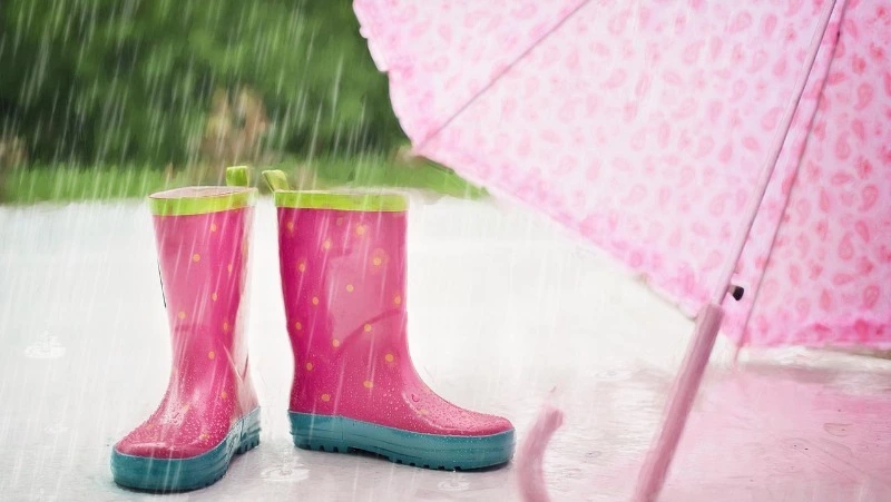 +16 и дожди: прогноз погоды на Сахалине и Курилах на среду, 8 июня