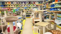 «Потратил меньше, чем мог бы»: зоозащитники рады скидкам по «Карте сахалинца»