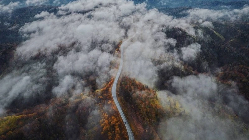 Известный блогер сделал романтическое фото осеннего Сахалина с высоты птичьего полета