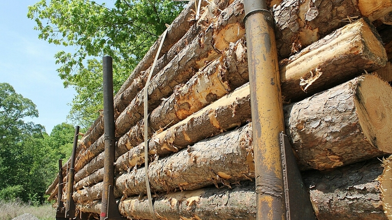 Во время разгрузки пиломатериалов погиб 54-летний холмчанин