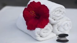 НДС со ставкой 0% предложили для дополнительных услуг в отелях России