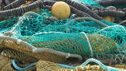 Сахалинцам напомнили об ответственности за нарушение правил добычи рыбы