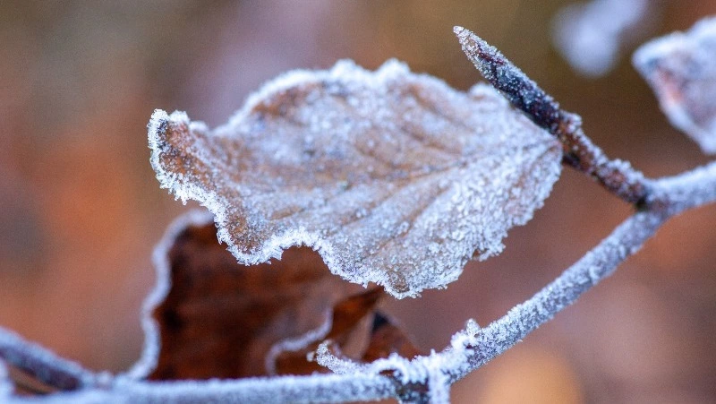 Прогноз погоды на Сахалине и Курилах 15 ноября: переменная облачность и слабый ветер