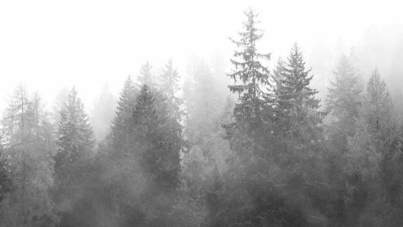 Гололедица и туман: прогноз погоды на Сахалине и Курилах 12 марта