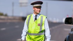 ГИБДД в России вернули название Госавтоинспекция