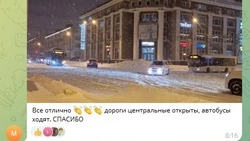 Жители Южно-Сахалинска поблагодарили дорожников за уборку снега после метели