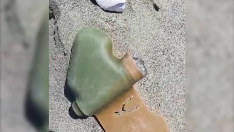 Сахалинец наткнулся на берегу моря на мину «Лепесток»