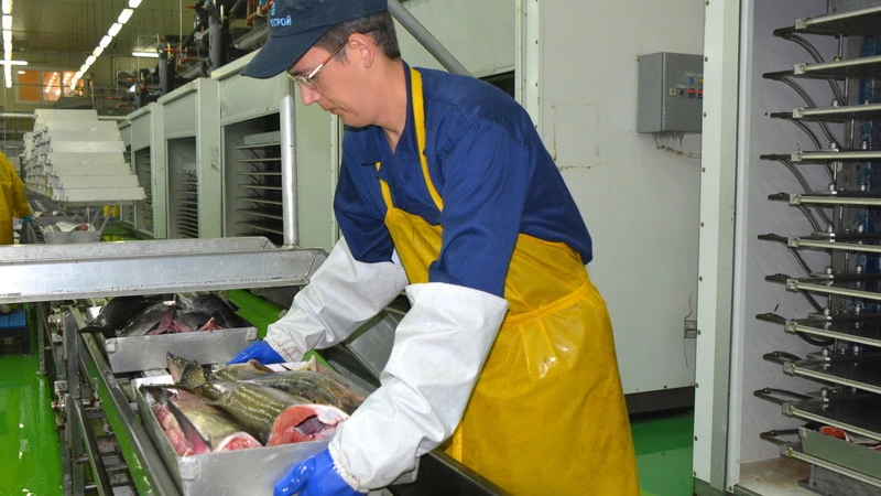 Роспотребнадзор вывесил список жестких требований для рыбохозяйственных предприятий Сахалина