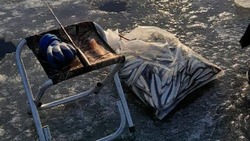 Двое ушли по шею: сезон экстремальной зимней рыбалки открыли жители Сахалина на тонком льду Буссе