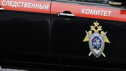 Сбегавшую несколько раз девочку-подростка вновь ищут на Сахалине