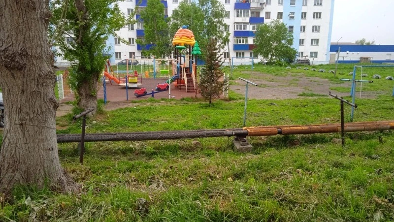 Заросли травы поглотили единственную сушилку для белья во дворе на севере Сахалина