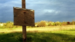 Мэрия Южно-Сахалинска просит горожан отложить покупку земли в СНТ «Сосновый бор»