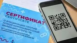 QR-коды ради борьбы с коронавирусом поддержали треть жителей Сахалина