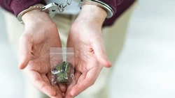 Жителя Невельска поймали с крупной партией наркотиков