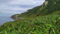 Мыс Ефремова: сахалинцы решат судьбу нового географического названия