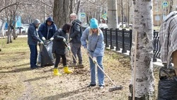 Более 9 тысяч жителей Южно-Сахалинска вышли на городской субботник
