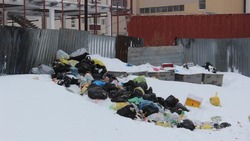 «Наведите порядок»: сахалинцы жалуются на нехватку контейнеров для мусора