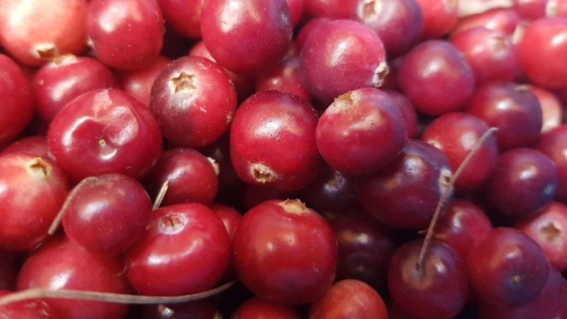 Церковный праздник 13 сентября 2024: что нельзя делать в этот день, приметы