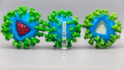 Счетчик вакцинации от коронавируса запустили в России