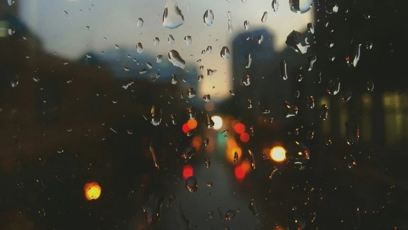 Дожди возвращаются на север Сахалина: прогноз погоды на 17 июня