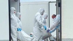 Россия и Украина провели первый обмен телами погибших военнослужащих