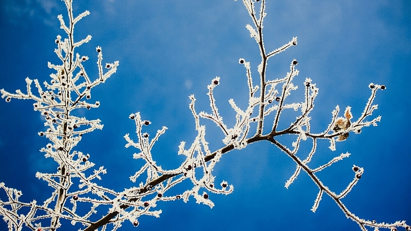 На следующей неделе Сахалин не отпустят морозы