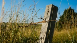 Заброшенные участки на Сахалине могут передать участникам СВО