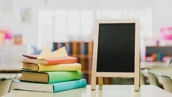 Степашин предложил отказаться от НДС на покупку детских книг