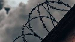 Житель Холмска проведет 11 лет в тюрьме за разбойное нападение  