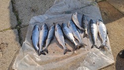 Сотрудники рыбоохраны задержали браконьера в Охинском районе