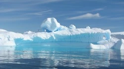 Санкции Запада испортили международную лососевую экспедицию с участием сахалинцев