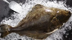 Свежую камбалу и треску по 96 рублей за кг привезли в Южно-Сахалинск 31 октября
