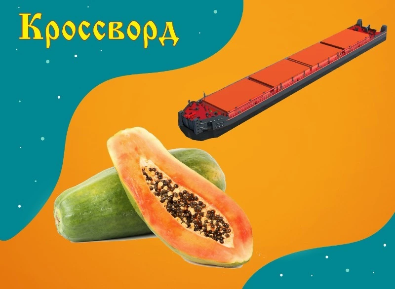 Кроссворд № 38: экзотический фрукт, нескладный человек и грузовое судно