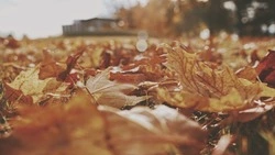 Как прошел октябрь 2022 на Сахалине: ТОП-5 новостей месяца