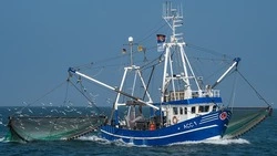 На аукционы теперь будут отправлять не только крабов