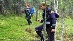 Спасатели из Южно-Сахалинска выехали в Аниву на поиски пропавшего мужчины