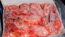 Таможенники нашли на судне в порту Сахалина тайник с десятками килограммов морепродуктов