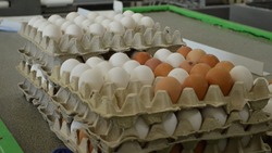Губернатор — про яйца: «Уговаривать сахалинцев не скупать продукты — бессмысленно»